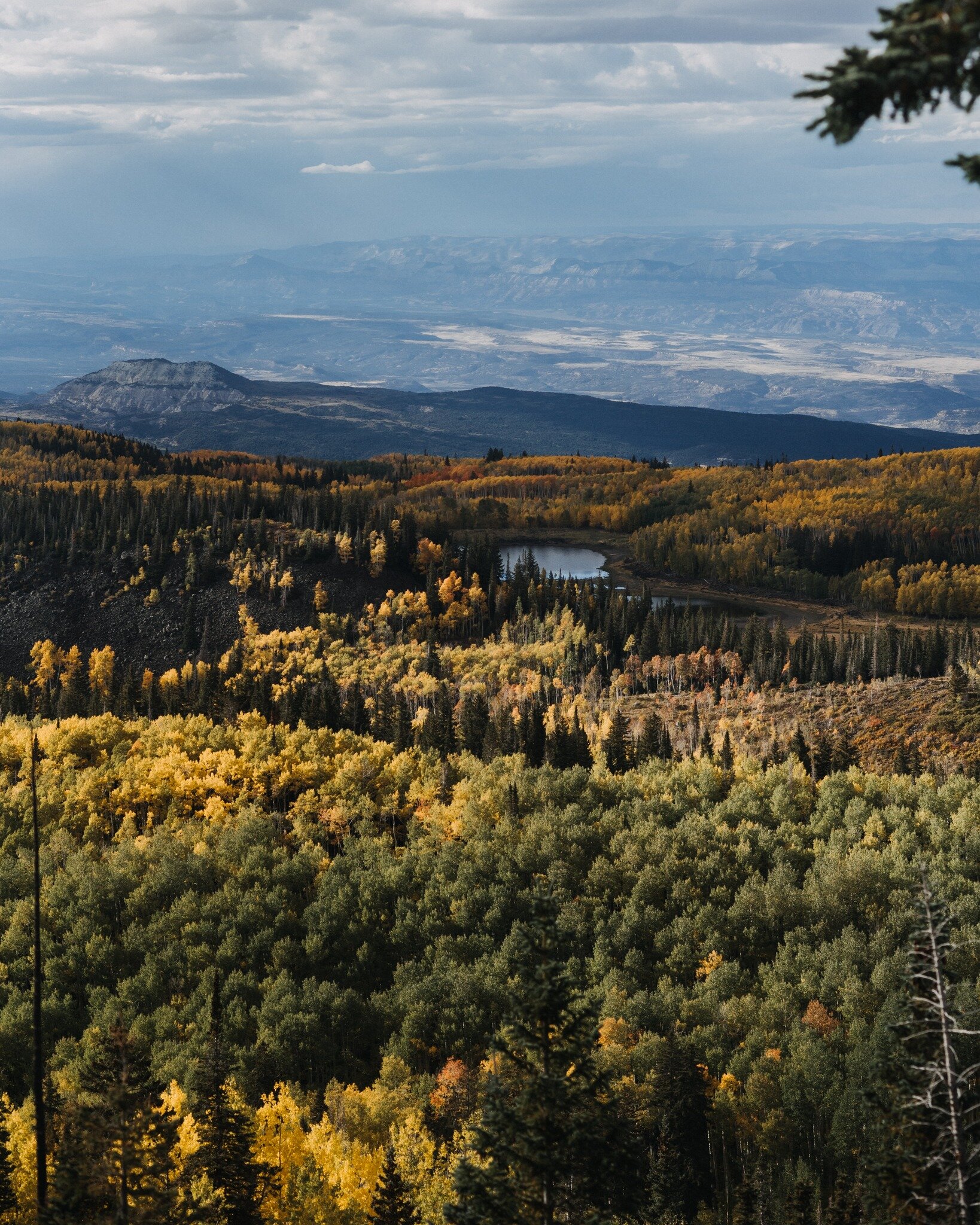 Colorado mountain wedding portrait